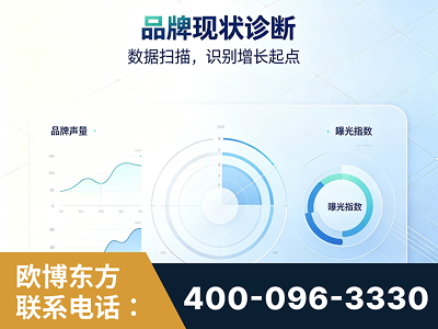 原平-品牌现状诊断